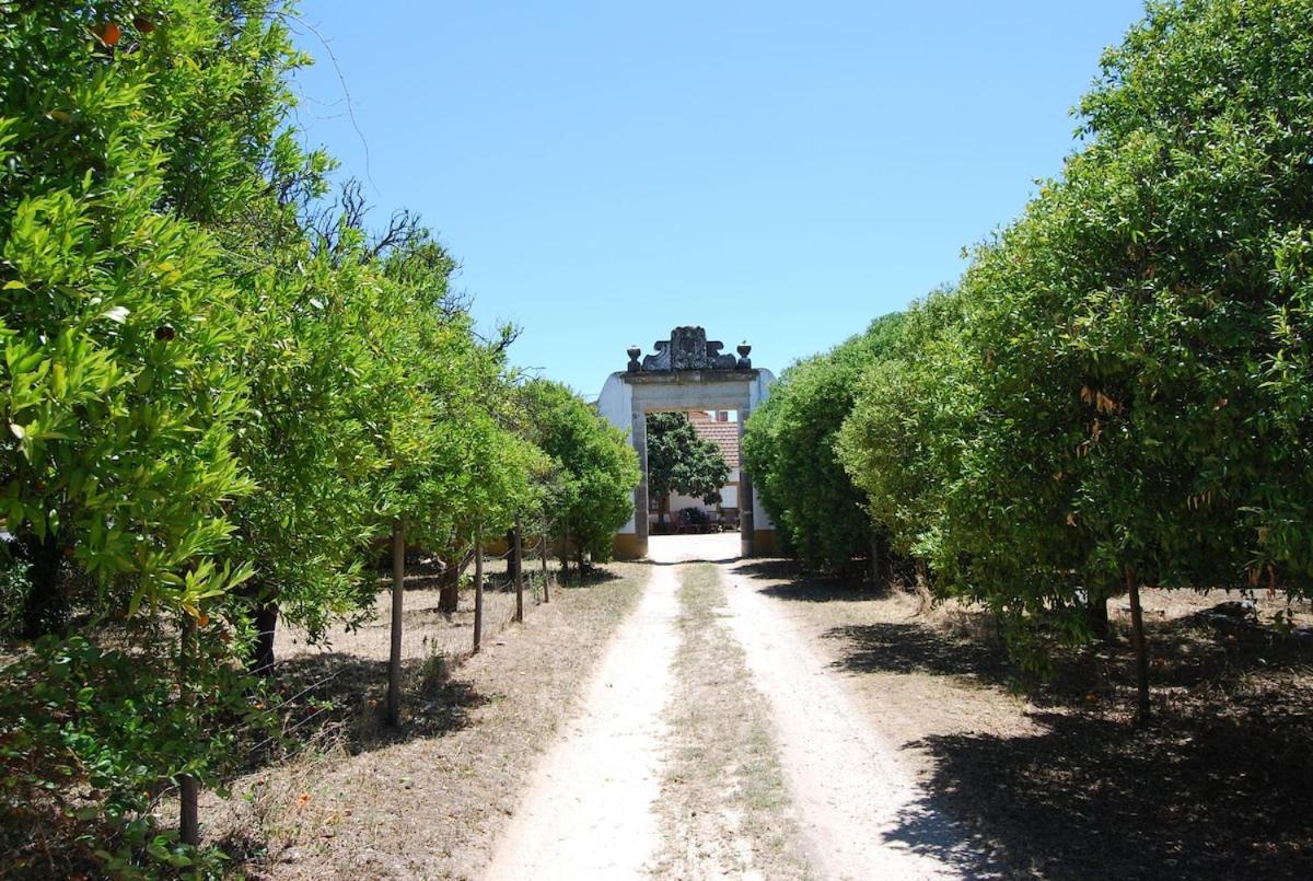 Villa Quinta Do Casalinho - Benfica Do Ribatejo Extérieur photo