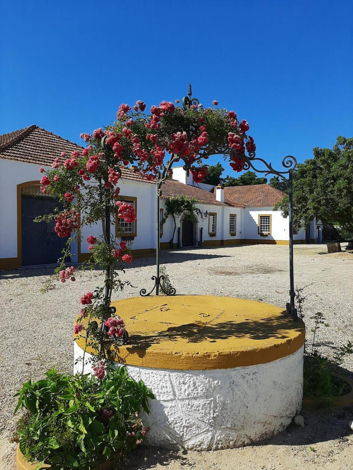 Villa Quinta Do Casalinho - Benfica Do Ribatejo Extérieur photo
